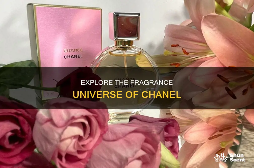 what kinds of perfume does cocoa chanel have