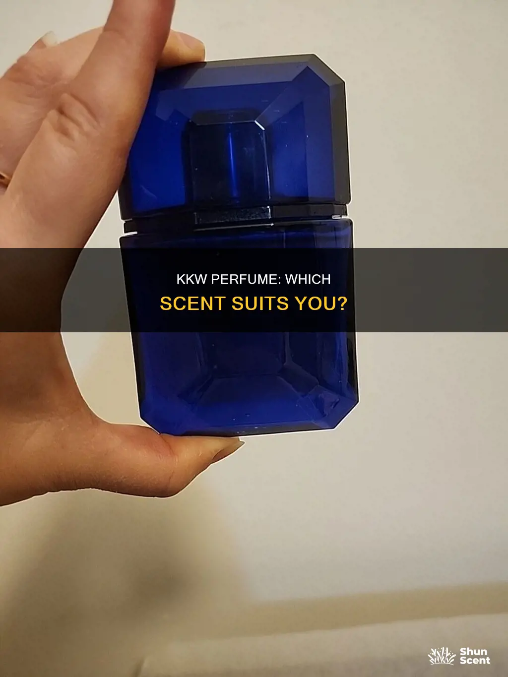 what kkw perfume to buy