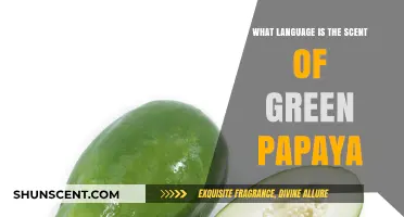 Exploring the Sensory Language of 'The Scent of Green Papaya