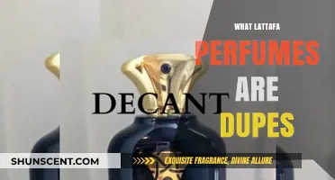 Lattafa Perfumes: Exploring Dupes and Their Secrets