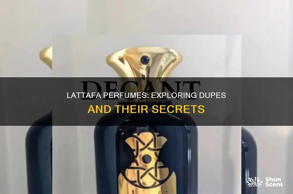 what lattafa perfumes are dupes