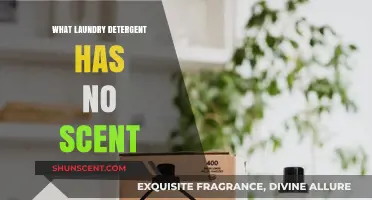 Unscented Laundry Detergents: Top Picks for Fragrance-Free Cleaning