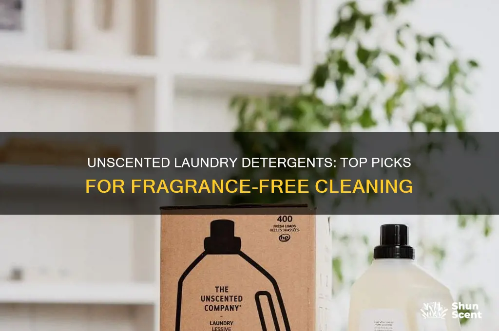 what laundry detergent has no scent