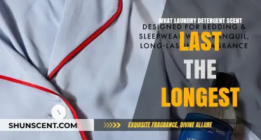 Long-Lasting Laundry Detergent Scents: Which One Stays Freshest Longest?