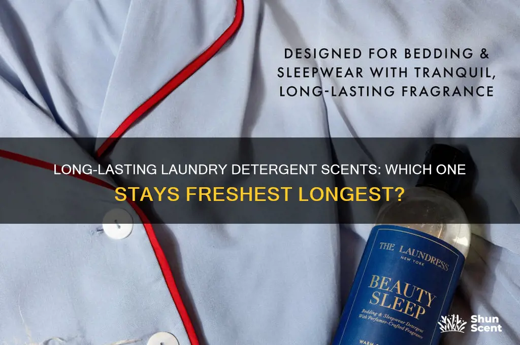 what laundry detergent scent last the longest