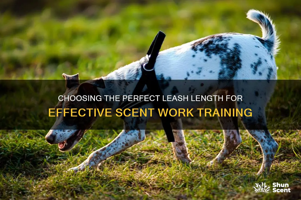 what length leash js best for scent work