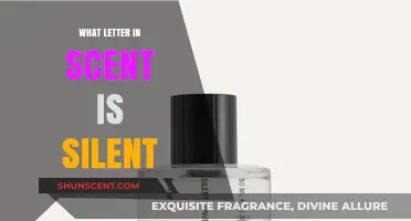 Unveiling the Silent Mystery: Which Letter in 'Scent' Goes Unspoken?