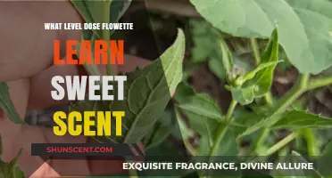 Flowette's Sweet Scent Move: Learning Level and Battle Benefits