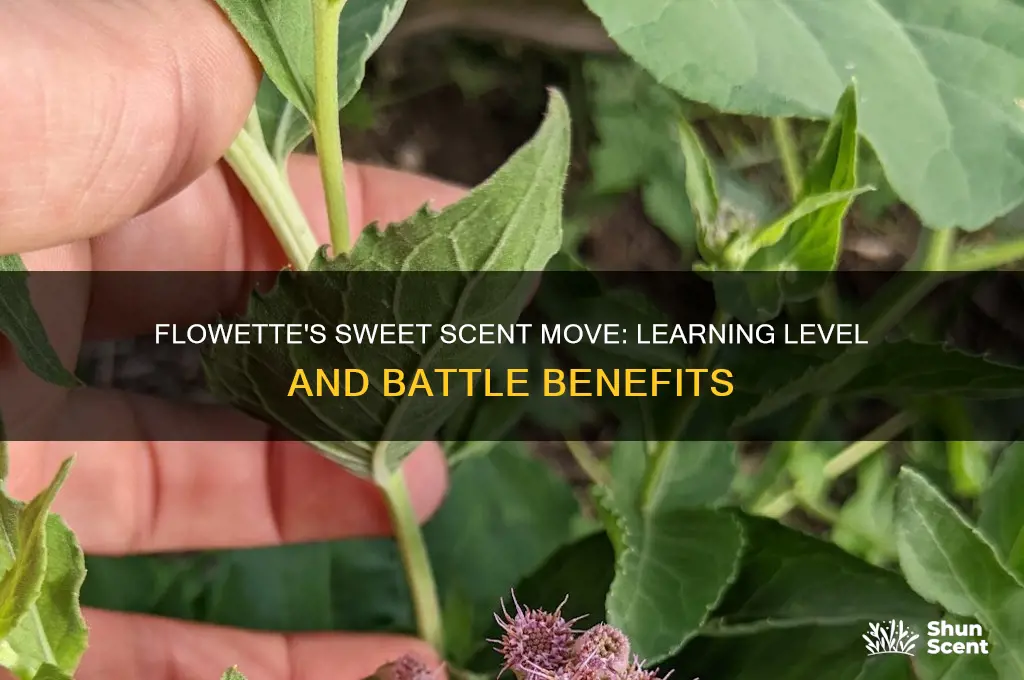 what level dose flowette learn sweet scent
