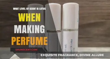 Lotus Scent Notes: How to Craft the Perfect Perfume