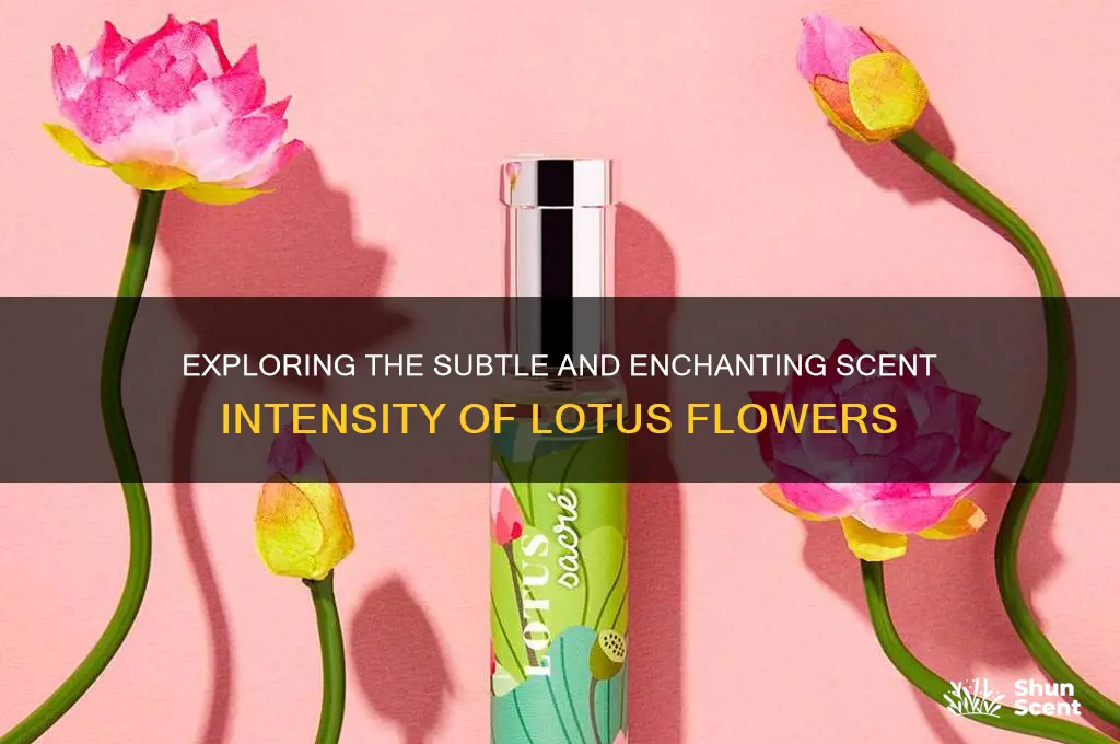 what level of scent is lotus