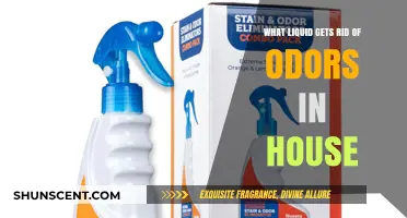 Natural Odor Eliminators: Freshen Your Home with These Effective Liquids