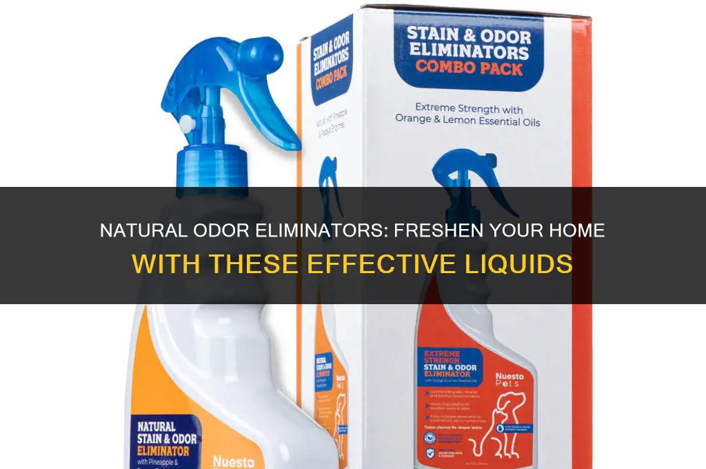 what liquid gets rid of odors in house