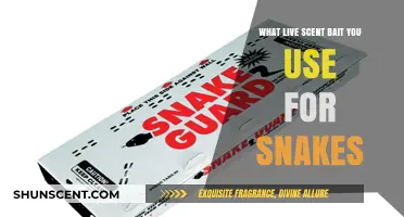 Effective Live Scent Baits to Attract and Trap Snakes Safely