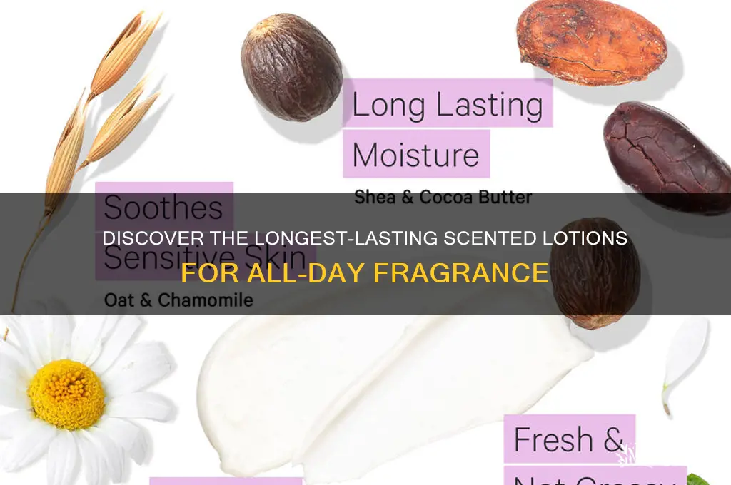 what lotion has the longest lasting scent
