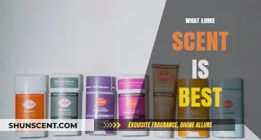 Discover the Perfect Lume Scent: Top Picks for Every Preference