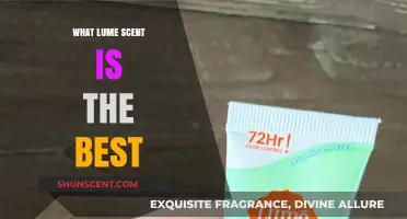 Discover the Perfect Lume Scent: Top Picks for Every Preference