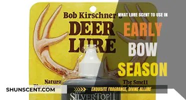 Best Early Bow Season Lure Scents for Deer Hunting Success