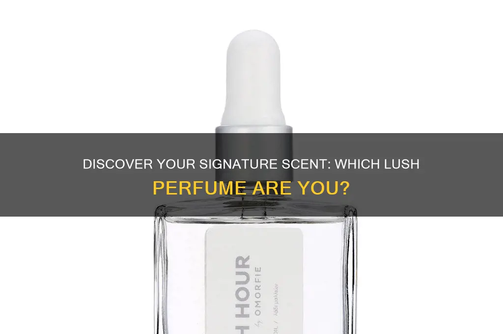 what lush perfume am i