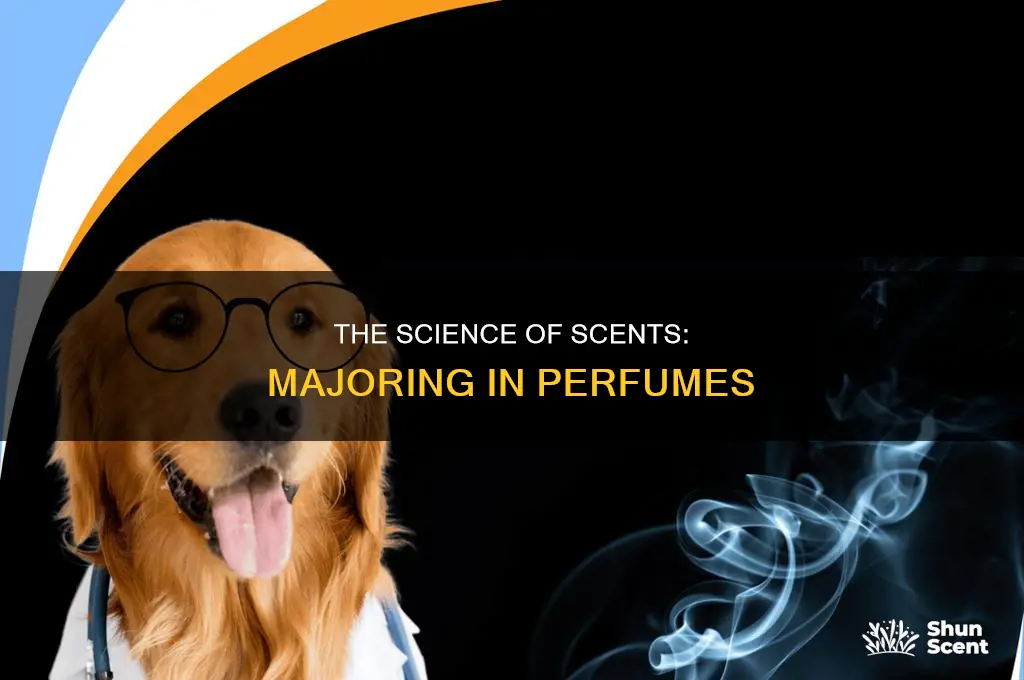 what major for perfumes