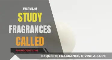 Study of Scents: Major Fragrance Exploration