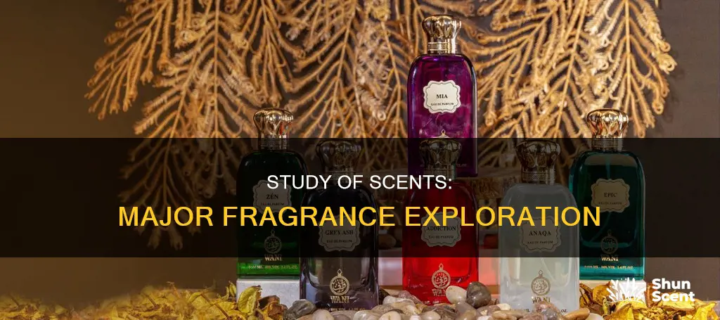 what major study fragrances called