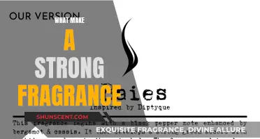 The Science of Strong Fragrances: Lasting Impressions