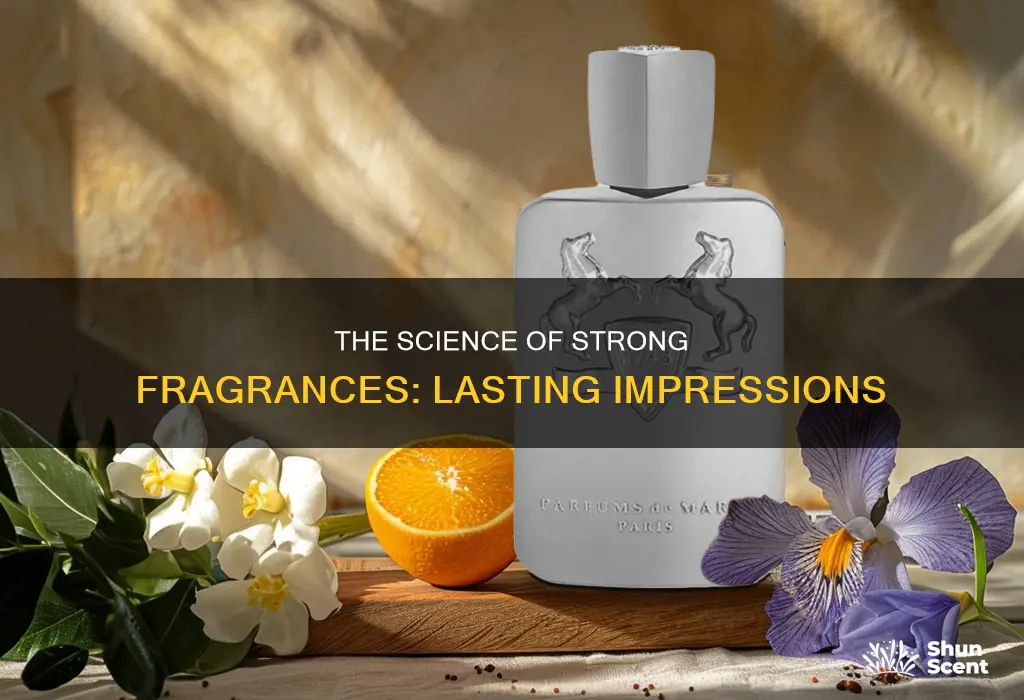 what make a strong fragrance