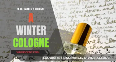 Winter Colognes: Warm, Woody, and Spicy Notes for Men