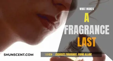 The Art of Long-Lasting Fragrance: Secrets to Prolonging Scents