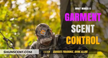 Mastering Scent Control: Key Factors in Odor-Resistant Garments