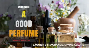 The Art of Perfume: What Makes It Memorable?