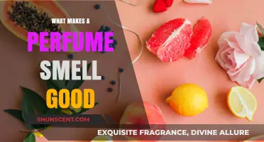 The Art of Perfume: What Makes Scents Enticing?
