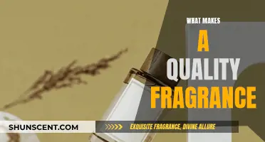 The Art of Fragrance: Notes, Complexity, and Longevity