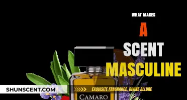 Unveiling Masculine Scents: Exploring Aromas That Define Traditional Manliness