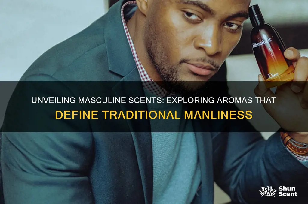 what makes a scent masculine