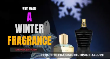 Winter Scents: Notes of Comfort and Warmth