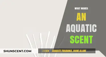 Unveiling the Secrets of Aquatic Scents: A Deep Dive into Freshness