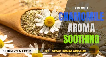 Chamomile Aroma: Why It's So Soothing and Relaxing