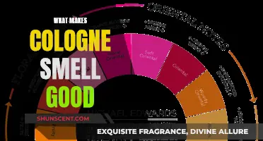 The Science of Smell: Cologne's Enticing Aroma