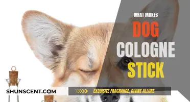 Why Dog Cologne Lasts: A Scent Science