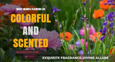Nature's Palette: Unveiling the Secrets Behind Vibrant, Fragrant Flowers