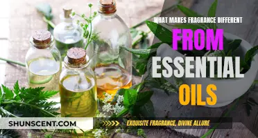 Fragrance vs Essential Oils: The Science Behind the Smell