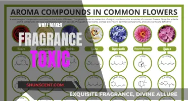 Understanding Fragrance Toxicity: What Makes Scents Dangerous