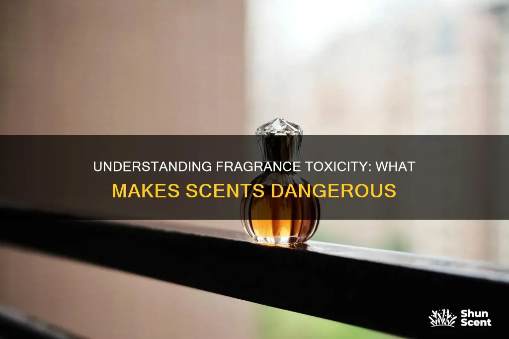 what makes fragrance toxic