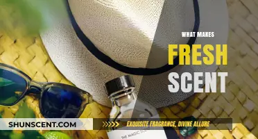 Unveiling the Secrets: What Makes a Fresh Scent Truly Invigorating