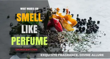 The Aromatic Art of Gin Distillation