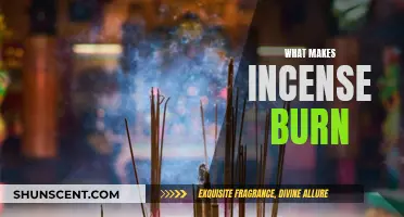 The Chemistry Behind Incense Burning