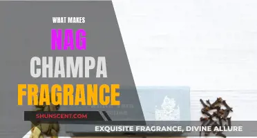 The Magic Behind Nag Champa's Fragrance Notes