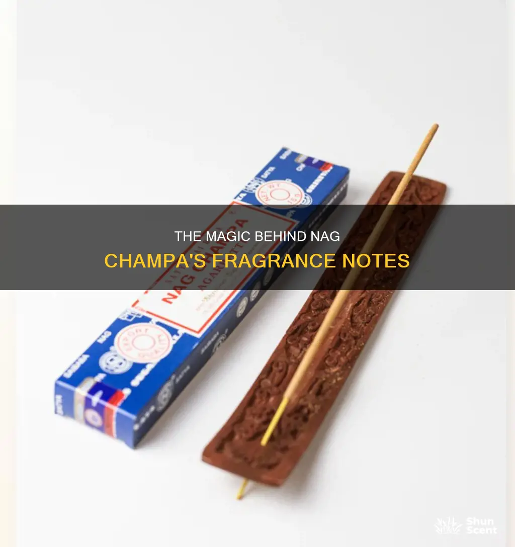 what makes nag champa fragrance